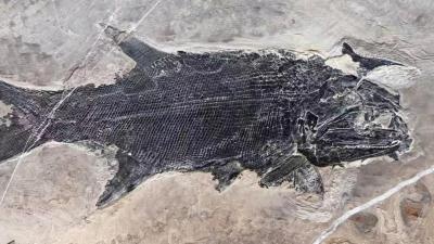 提出“建设有中国特色的社会主义”(伟大征程)