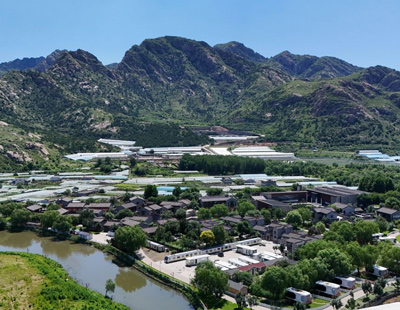 云南保山端午“赶花街”：花香药香 氤氲满城