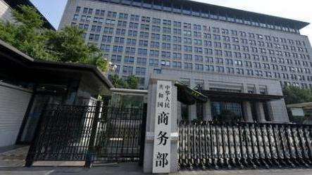 咖香飘四海 侨乡浙江青田咖啡产业提质拓市场