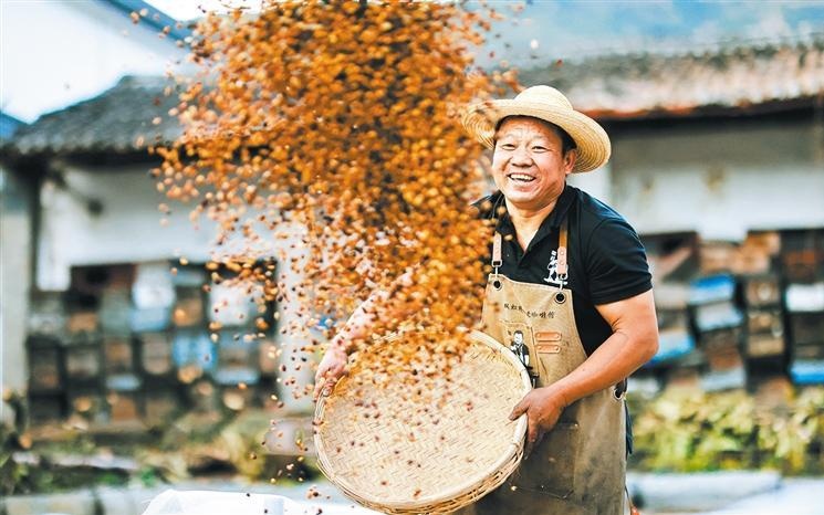 外交部：中方始终愿在平等友好基础上推动同印度各领域合作
