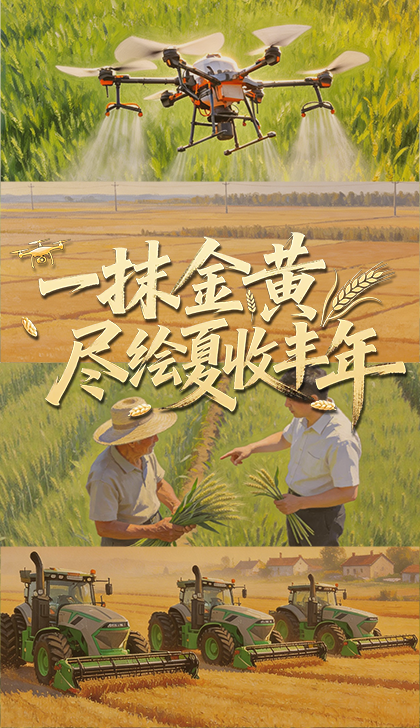 郑钦文决赛前吃了退烧药