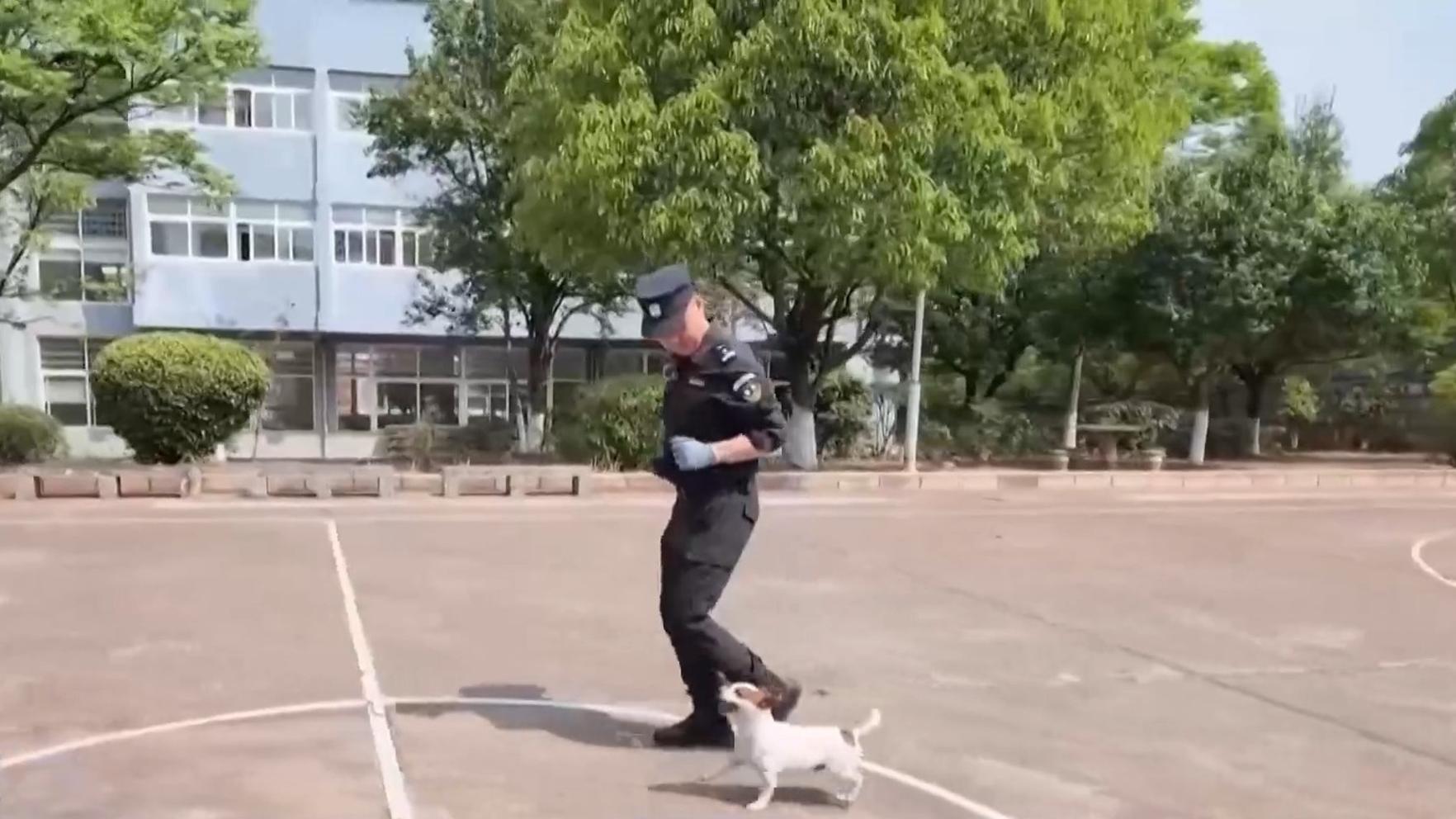 联合利剑演习